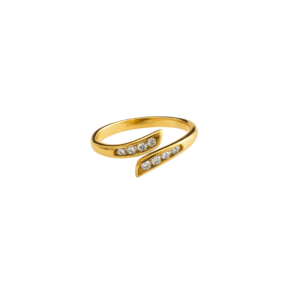 Anillo union