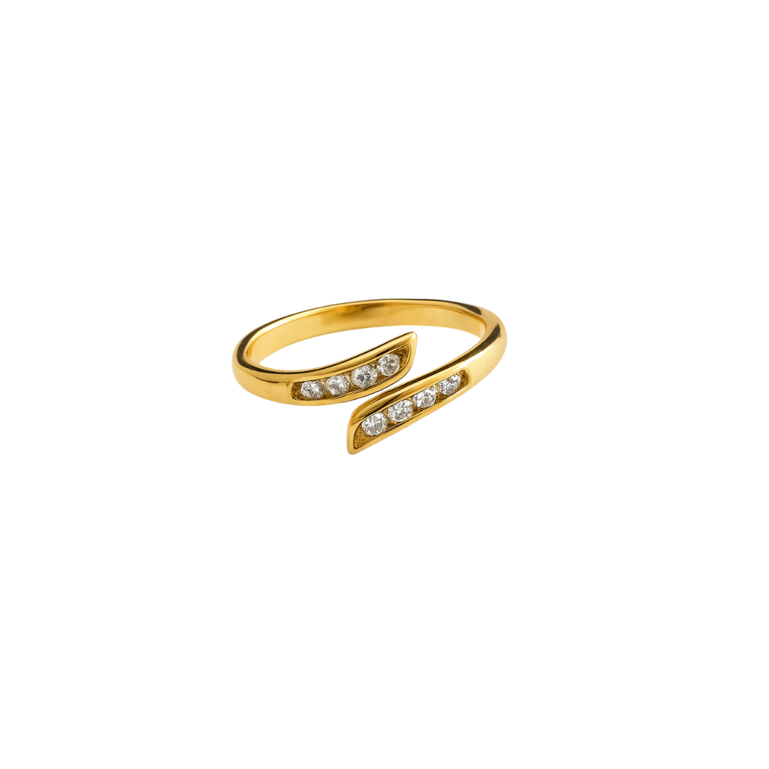 Anillo union