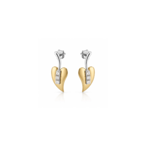Aros Corazon