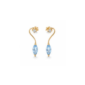 Aros Cisne