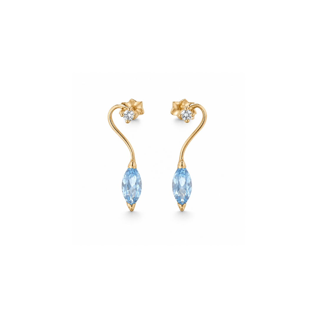 Aros Cisne